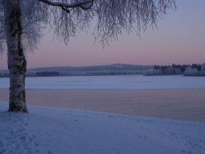 Manz_internship_pic1