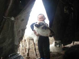 photo by (c) Veniamin Salinder from Gydan Tundra