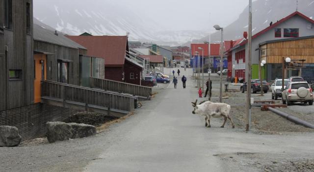 The northernmost downtown, Longyearbyen, photo: Anna Stammler-Gossmann