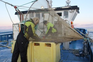 access-workshop-photo