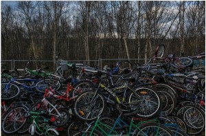 picture by Mauricio Lima for The New York Times, bicycles from refugees pile up at the Russian-Norwegian border - in the Arctic at almost 70 degrees northern latitude