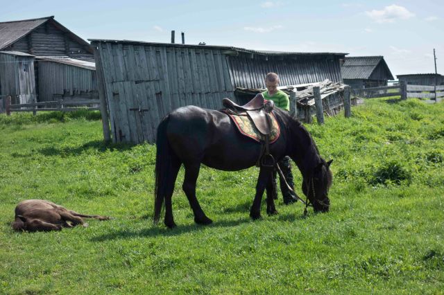 2018-06-22_Conference_Horse_Breeding_Mezen-6