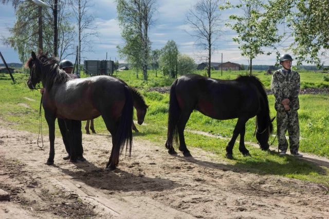 2018-06-22_Conference_Horse_Breeding_Mezen-9